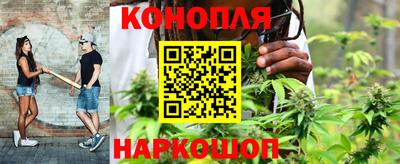 альфа пвп Аргун