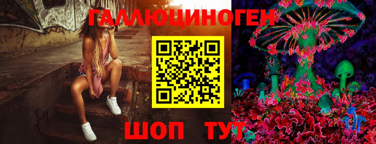 Псилоцибиновые грибы прущие грибы Владимир